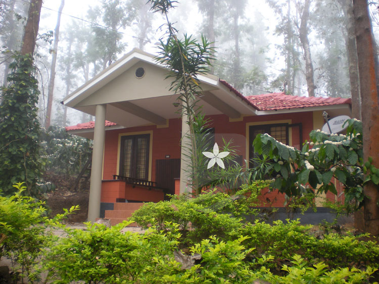 Mountain Mist Homestay