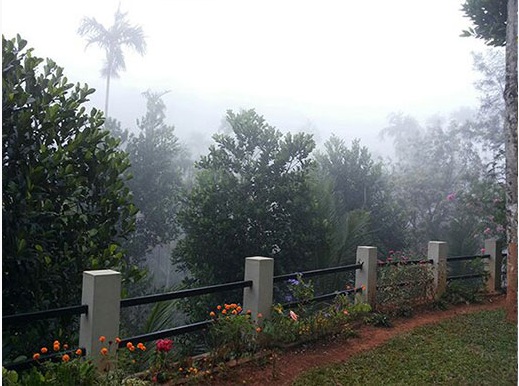  Morning Mist Homestay Kalpetta